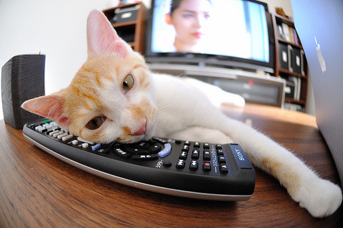 雷火电竞亚洲先驱-意甲焦点战之夜，克瓦拉茨赫利亚的魔法与那不勒斯的胜利